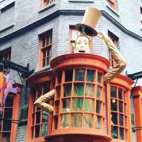 37736714_10102203716171995_7386014890533584896_n